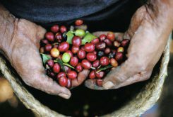 History of Coffee